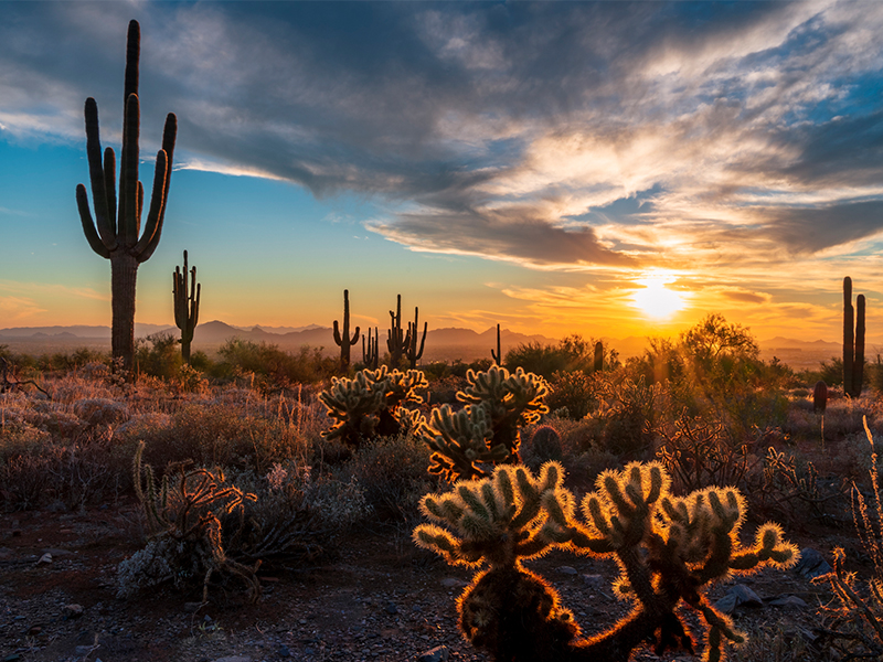 Exploring North Scottsdale's outdoor activities beyond golf