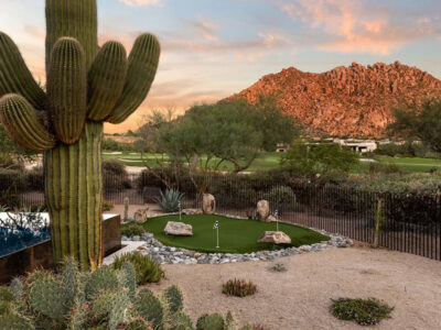 big cactus on luxury home